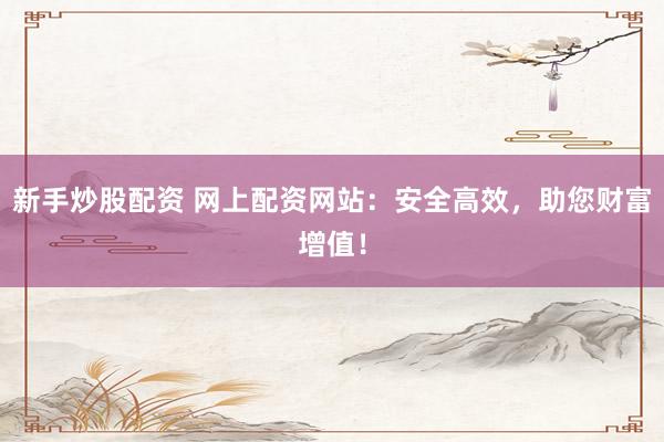 新手炒股配资 网上配资网站：安全高效，助您财富增值！