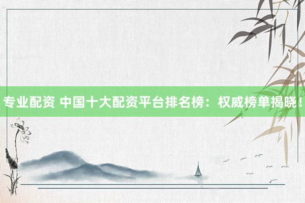 专业配资 中国十大配资平台排名榜：权威榜单揭晓！